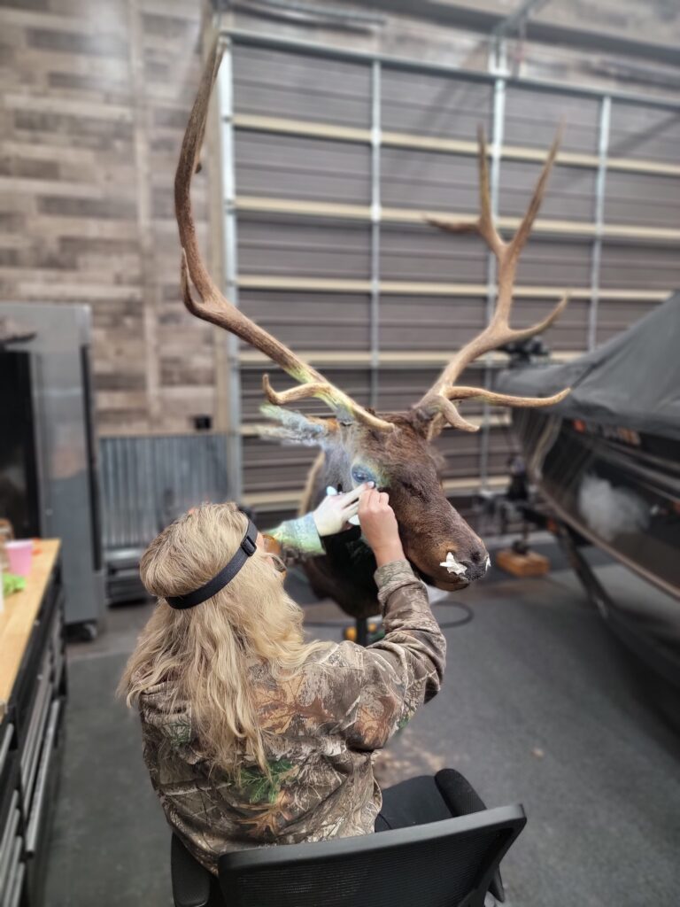 Laura Working on Taxidermy Project