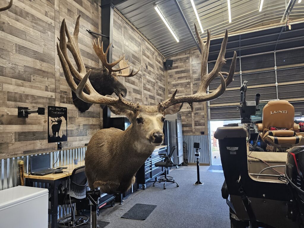 Huge deer being worked on