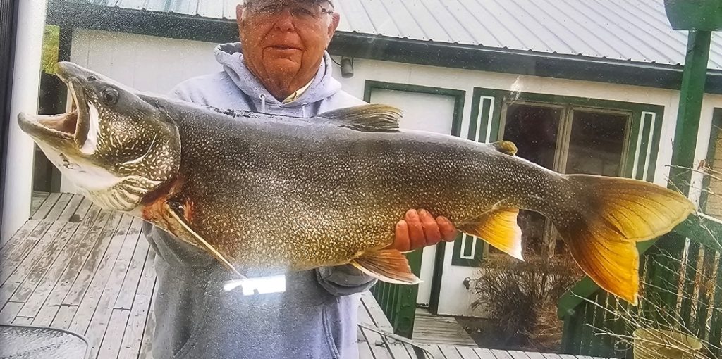 HUGE Fish being shown