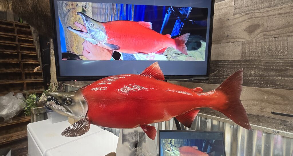 Red Fish