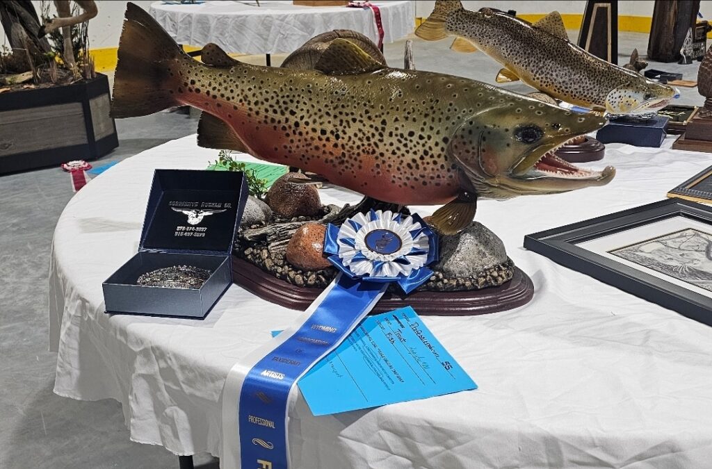 Fish Taxidermy display first place in contest