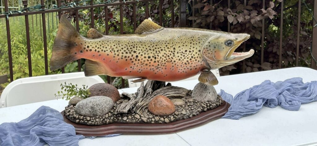 Fish+Taxidermy+Flaming+Gorge